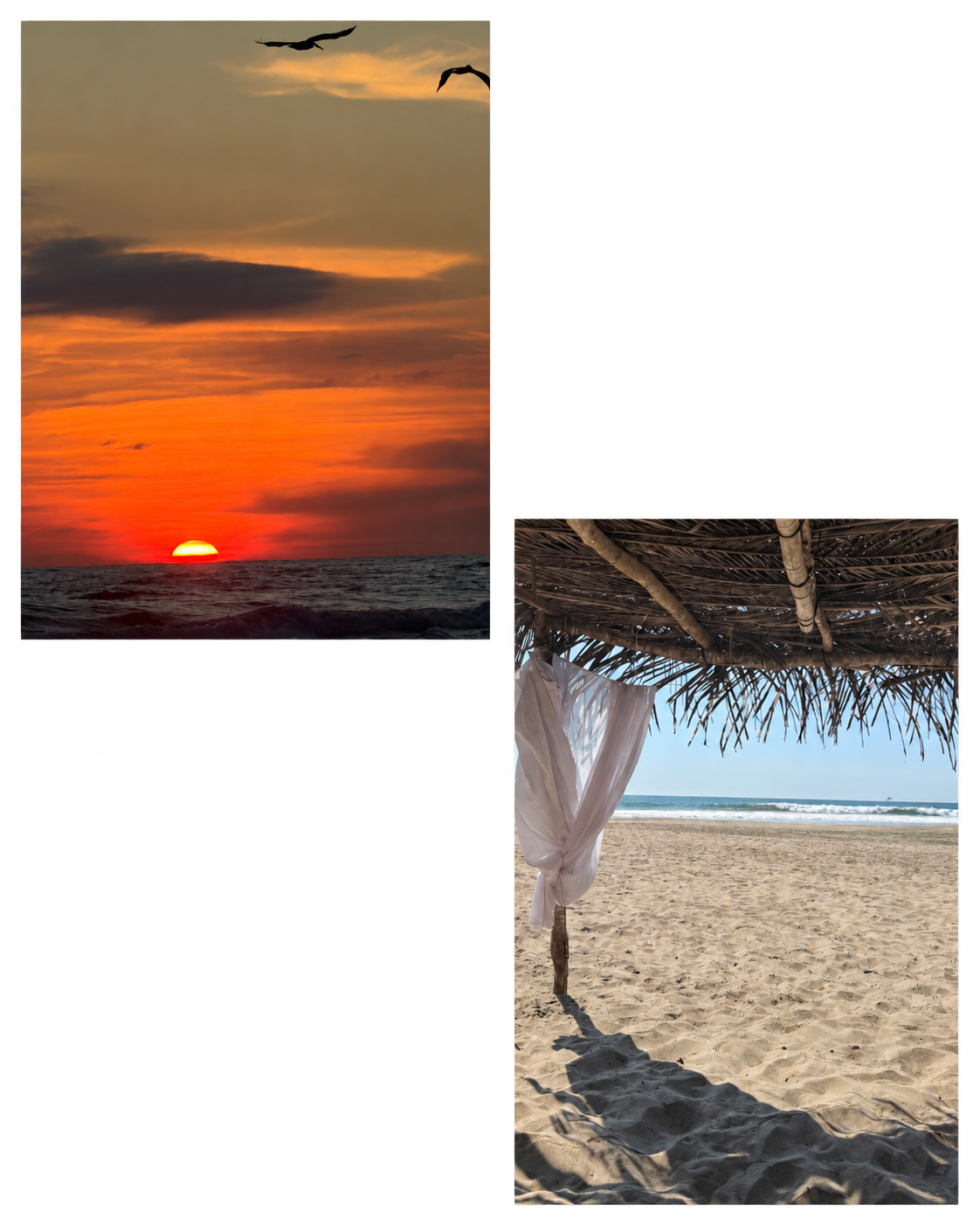 canva 3 sin fondo